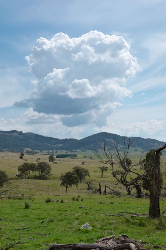 P1000418.jpg