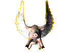 pigfly.gif