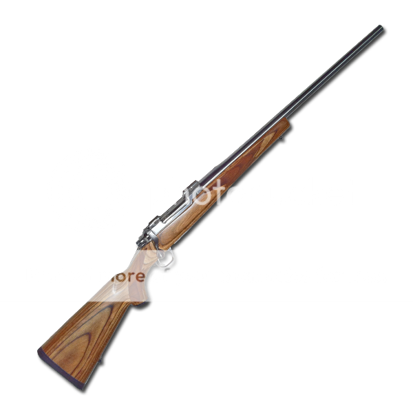 Ruger-MKII-SS-Sporter-300win-600.png