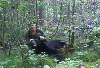 MattsBear.jpg