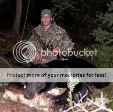 bear3.jpg