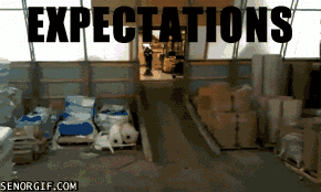 funny-gifs-expectations-vs-reality1.gif