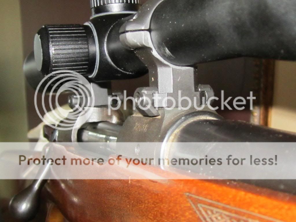 IMG_0704_zps5433501d.jpg