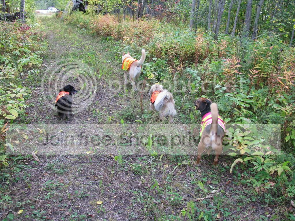 IMG_0613.jpg