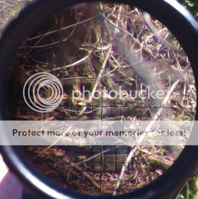 Reticles007_zpsab413a45.jpg