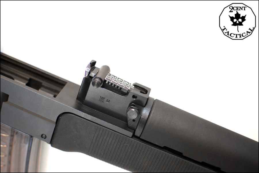 rearsight.jpg