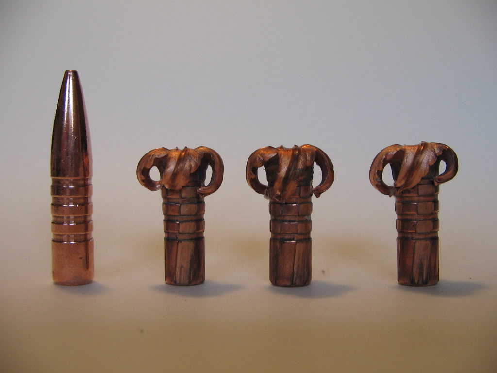 Barnes130gr-TSX.jpg
