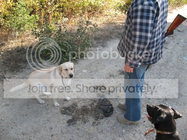 Murphy003.jpg