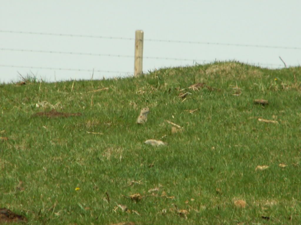 PICT0267.jpg