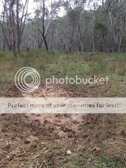 IMG_0960wallow.jpg~original