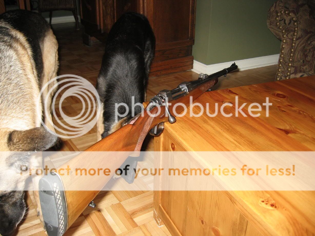 bearguns0005_1.jpg