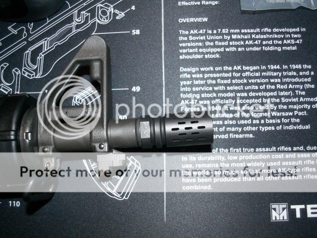 PICT5546.jpg