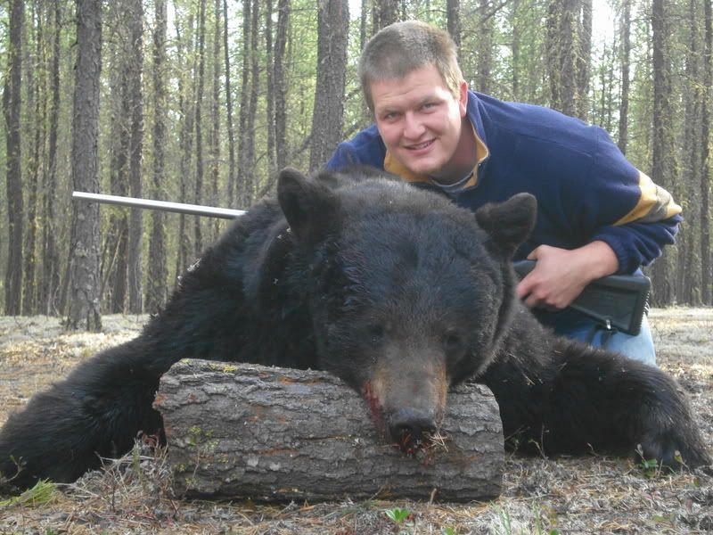 2007BlackBear.jpg