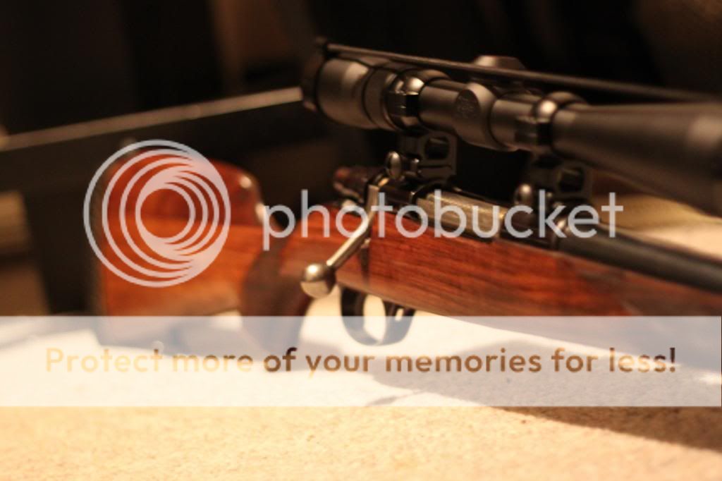 IMG_3866_zps1ed74f27.jpg