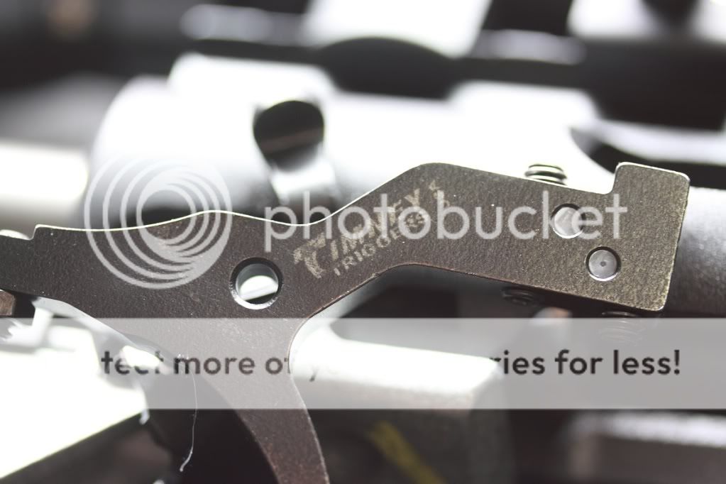 _MG_6067.jpg