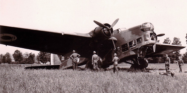 amio1410.jpg