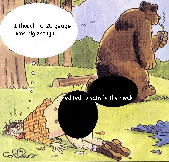 bear-3a.jpg