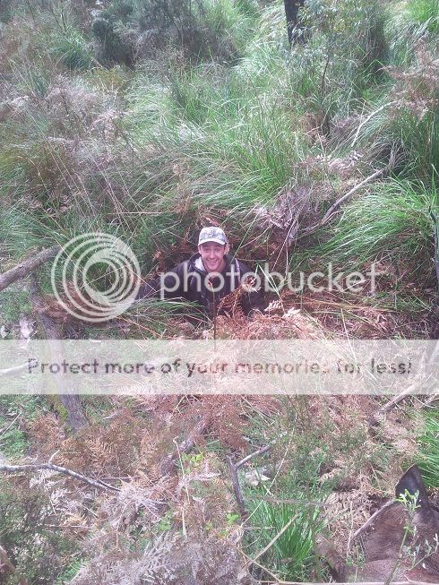 a49ced81.jpg~original