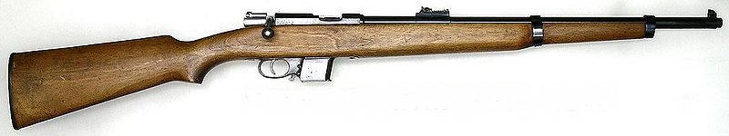 2008-11-28_084853_zDesCarbine.jpg