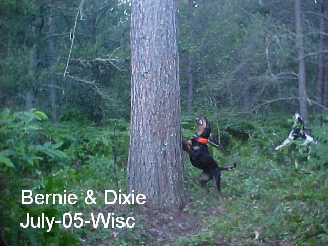 Dixie-2005.jpg