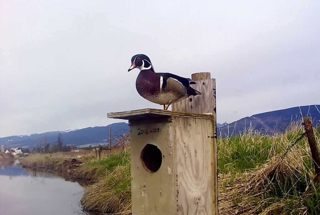 SUNP0064_zpslzcq8gvu.jpg~original