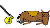 5.gif