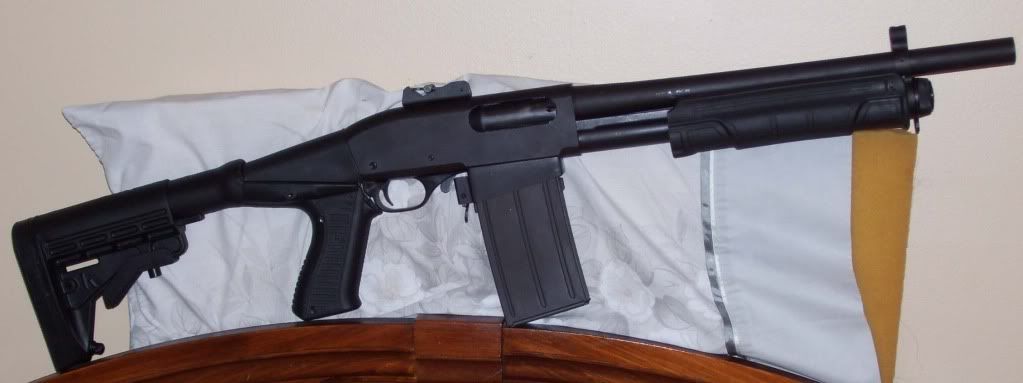 Grizzly1.jpg