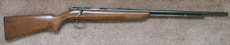 512_right-vi.jpg