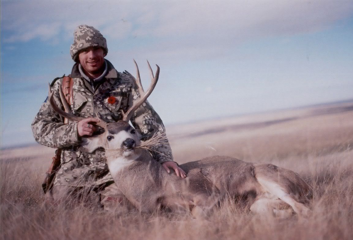 200511buck.jpg