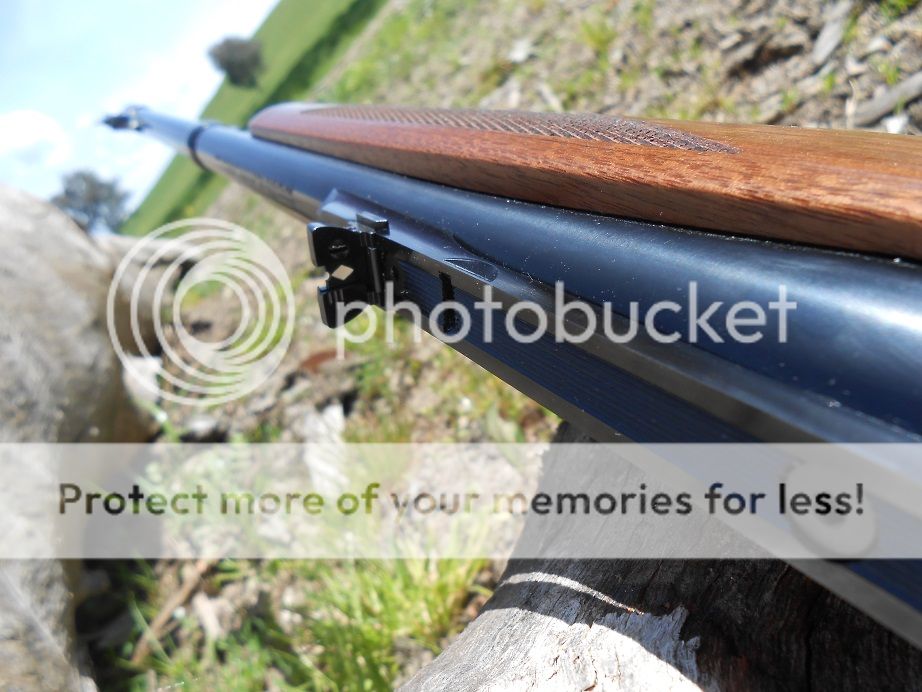 DSCN0626buckhorns.jpg~original