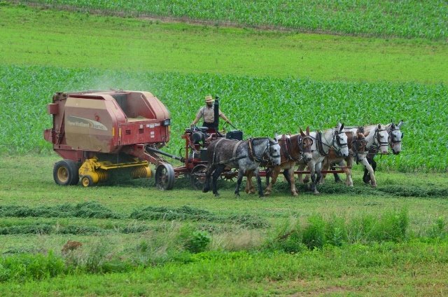 main-qimg-1e9de999f4a4ac3b8643ee0043f01007-c