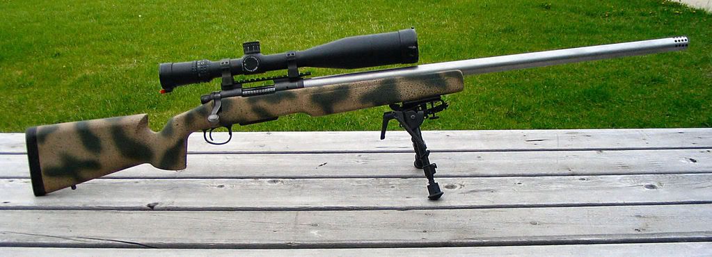 Rem300WSM_a.jpg