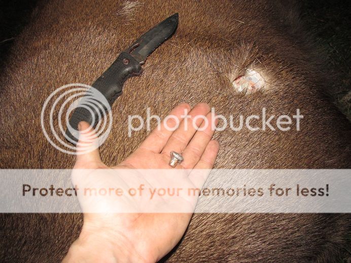 IMG_3941woodleigh.jpg~original