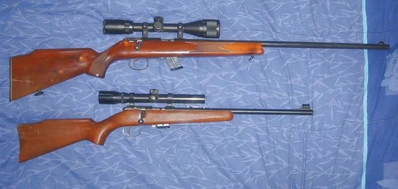 CILAnschutz310AnschutzWoodchucker.jpg