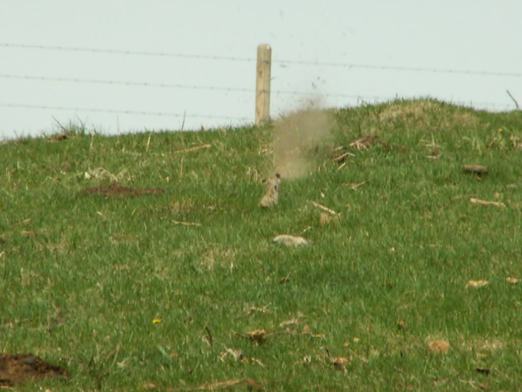 PICT0271.jpg