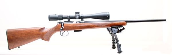 cz1.jpg
