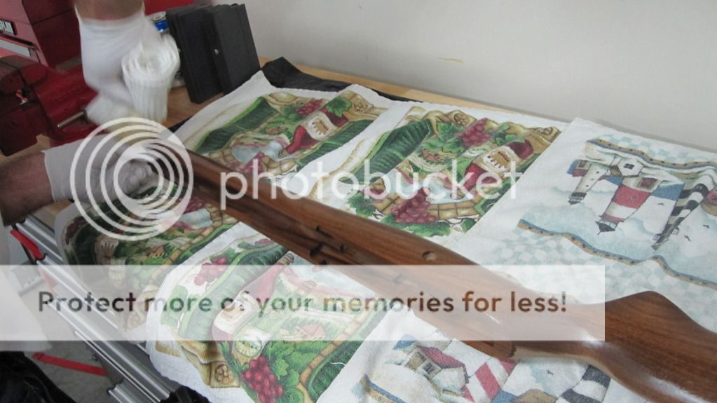PictureorVideo010.jpg