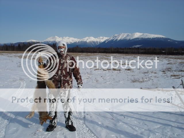 northernyote004.jpg