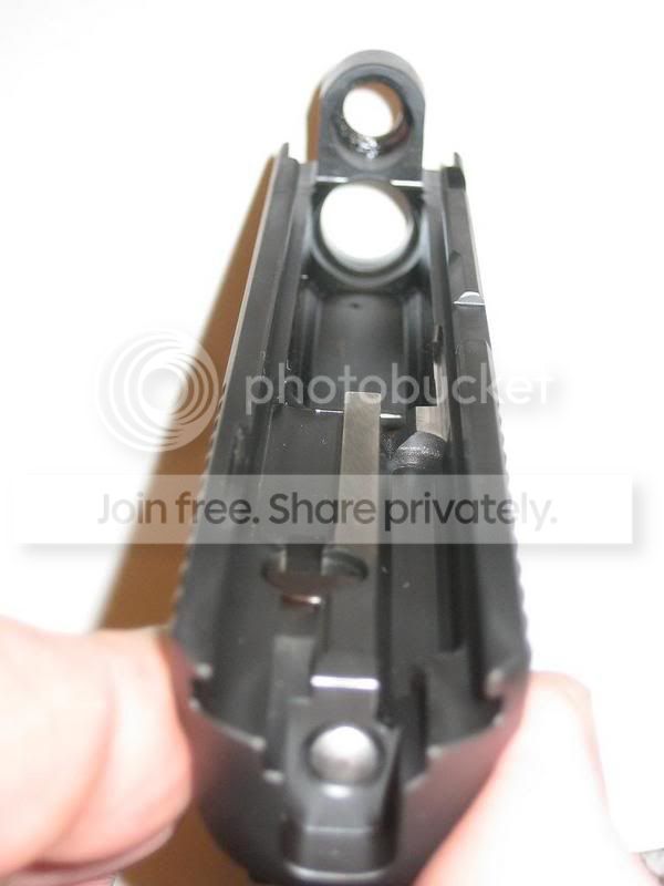 SIG20.jpg