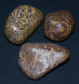 three_unusual_patterned_rocks_small.jpg