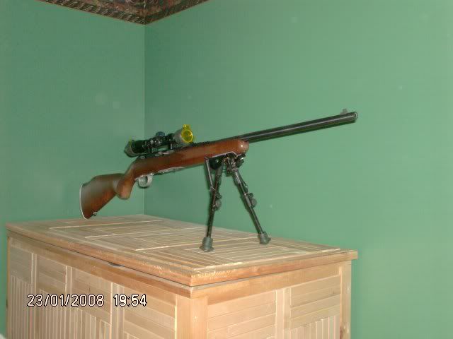 Savage64G.jpg