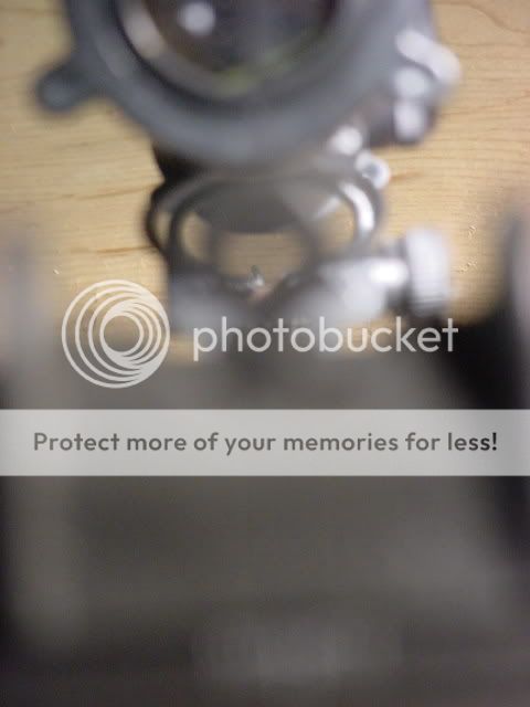 Frontsightpicture2.jpg