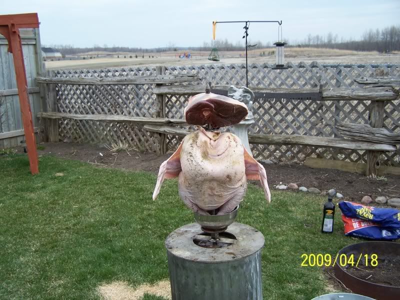 turkeyandvenison.jpg