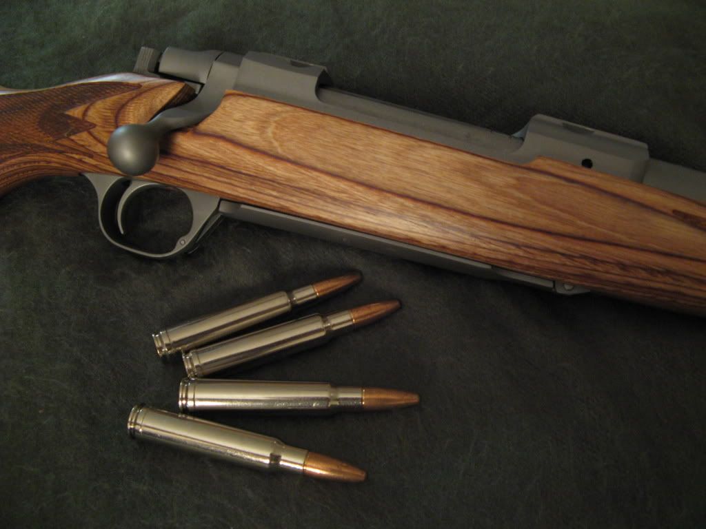 RugerHawkeyeSporter001-1.jpg