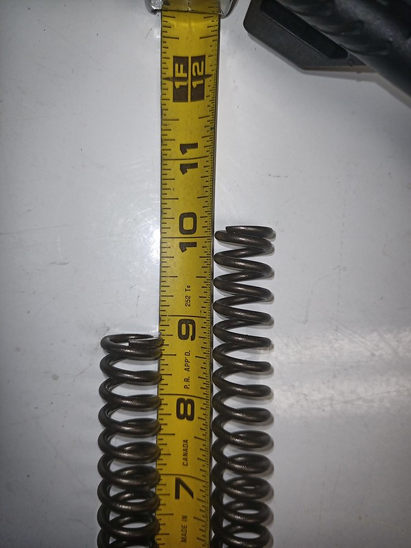 51517113907_e0ffb05882_c.jpg