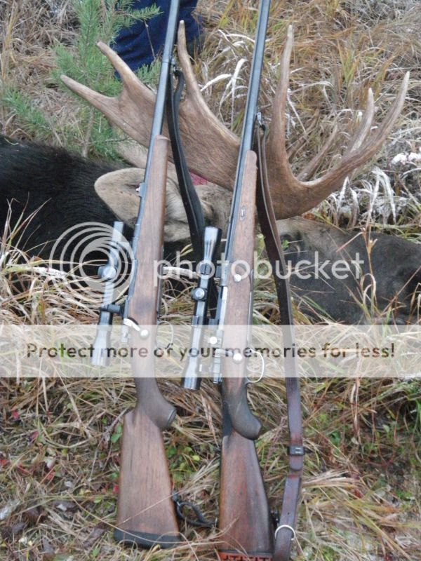 MooseOpener007.jpg