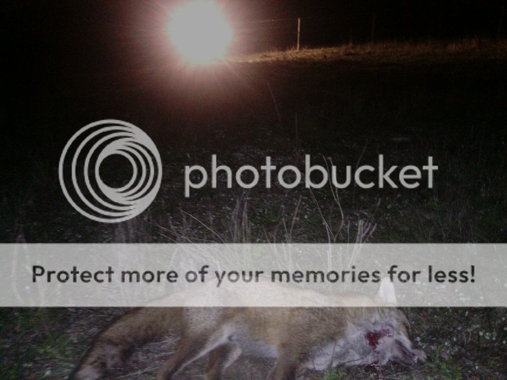 IMG_20160523_200515.jpg~original