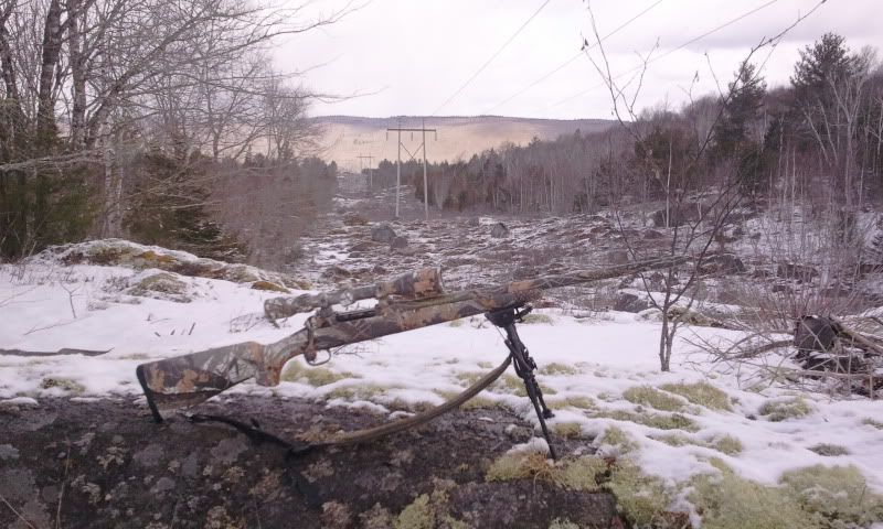 2011-03-26111430.jpg
