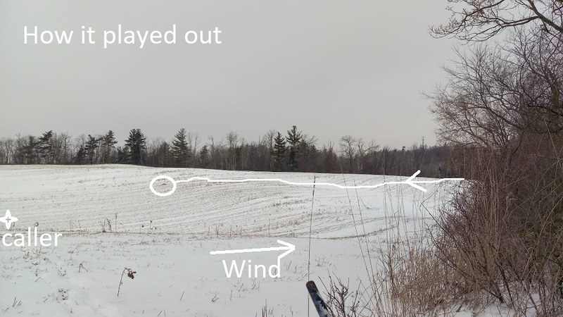 51938270583_1ef7228f44_c.jpg