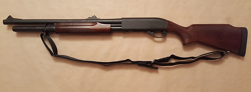 870P_Rifle_Sights.jpg